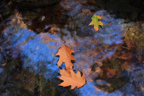 Tapety longexposure podzim Příroda voda barvy listy krajina krajiny Země zkoumání