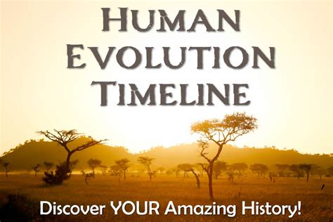 Human Evolution Timeline Chart With Pictures And Amazing Facts