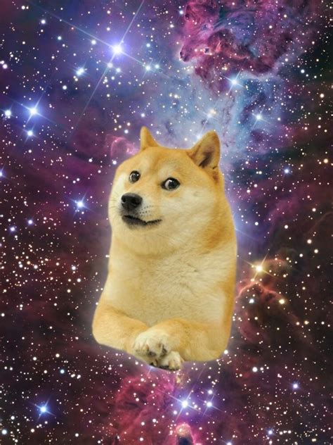 Doge Space Skins Iphone Case And Cover By Brandoncashroll Redbubble