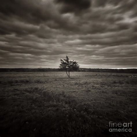 Dark Meadow Photograph By Chet B Simpson Pixels