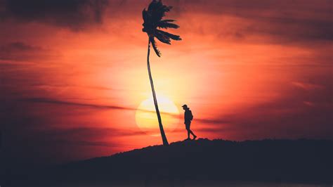 Wallpapers Hd Sunset Silhouette