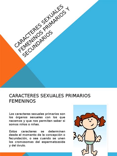 Caracteres Sexuales Femeninos Primarios Y Secundarios