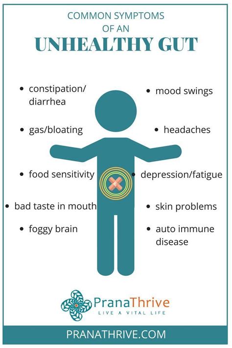 Common Symptoms Of An Unhealthy Gut Health Gut Gut Health Gut