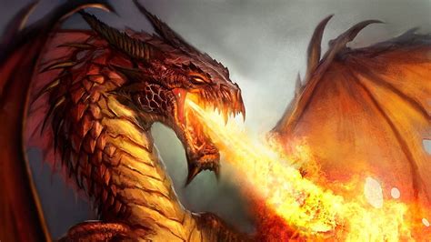Fire Dragon S 3d Wallpapers 1080p Gaming Hd Wallpaper
