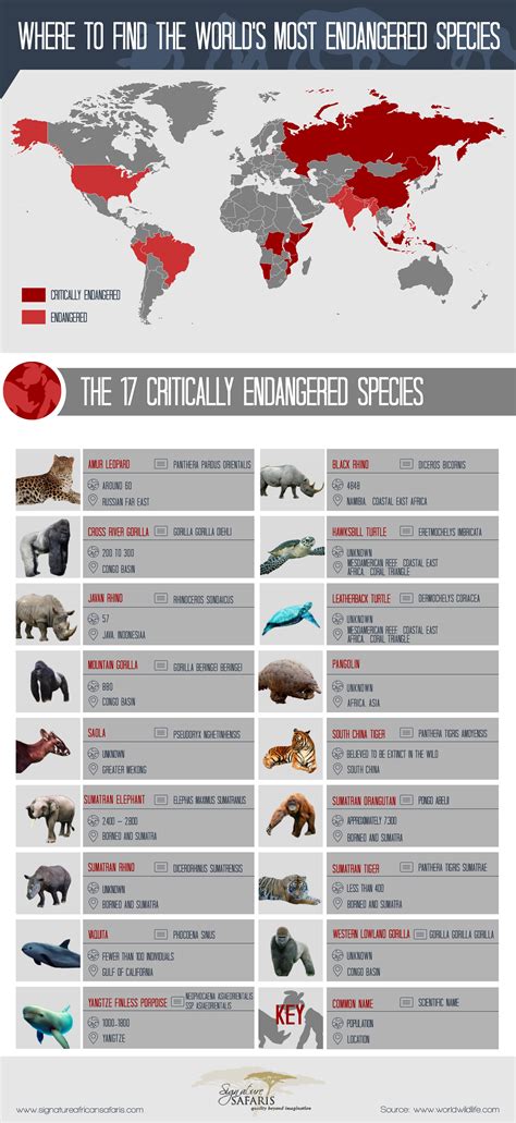 Most Endangered Animals Chart Cute Animals