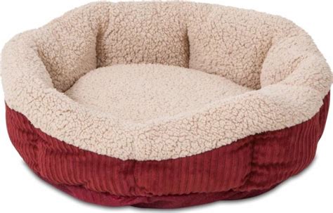 Luxury Cat Beds Your Furry Friends Will Love And Feel Safe In