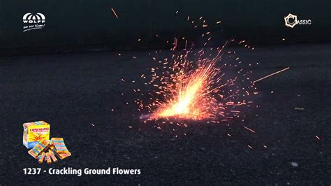 Wolff Vuurwerk 1237 Crackling Ground Flowers Youtube