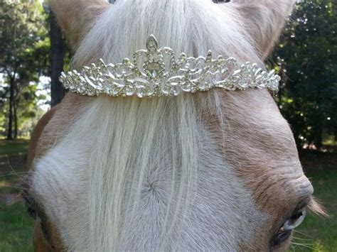 Glittering Rhinestone Tiara Browband For Horse Or Pony Etsy Uk