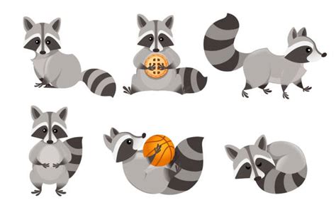 Raccoon Illustrations Royalty Free Vector Graphics And Clip Art Istock