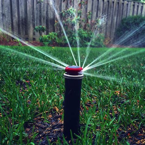 The Irrigation System Explained Installation And Maintenance Guide