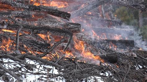 Forest Service Burns Slash Piles With Right Weather Conditions