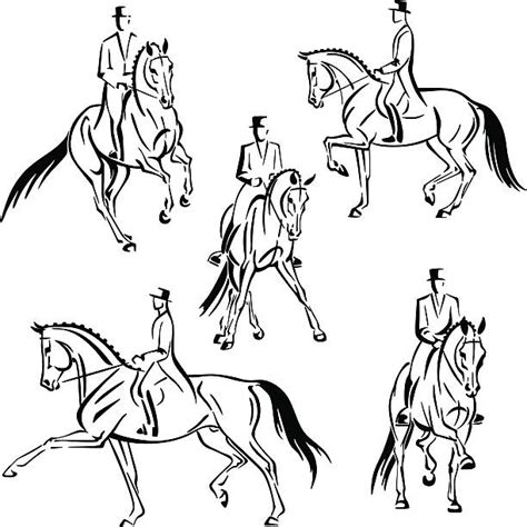Dressage Clip Art Vector Images And Illustrations Istock