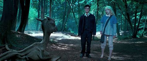 Harry And Luna Harry Potter Luna Lovegood Wizarding World
