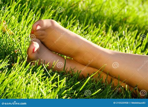 женские ноги в чулках на зеленой траве Стоковое Фото изображение насчитывающей ноги природа