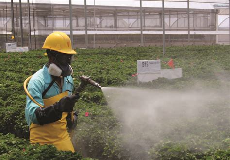 Plant Protection How To Use Pesticides Appropriately