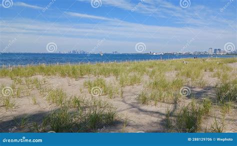 Hanlan S Point Nude Beach View On Toronto Islands Stock Photo Image Of Canada View