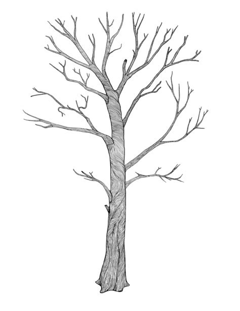 Simple Pencil Tree Drawing Pencil Tree Drawing At Getdrawings Free