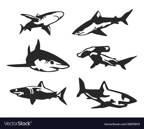 Variety Shark Silhouette Set Royalty Free Vector Image