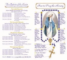 98% of our readers don't give; PRAY THE ROSARY (SPANISH) | Praying the rosary, Rosary ...