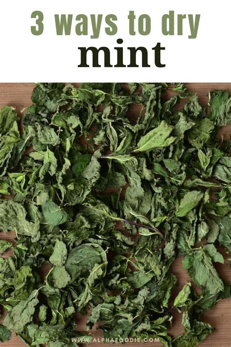 How To Dry Mint 3 Methods For Dried Mint Alphafoodie