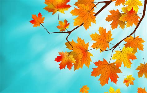 Wallpaper Leaves Background Autumn Leaves Autumn Maple Images For