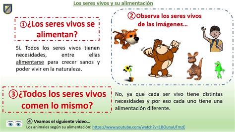 Alimentación De Los Seres Vivos Para Niñosas Youtube