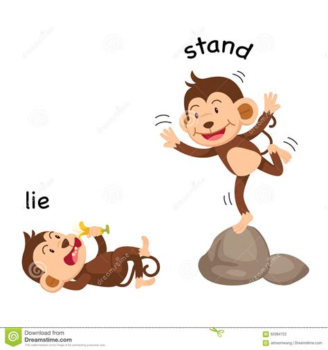 Opposite Words Lie And Stand Vector Stock Vector Illustration Of