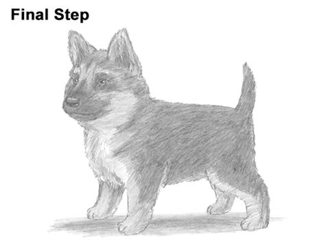 How To Draw A Puppy German Shepherd