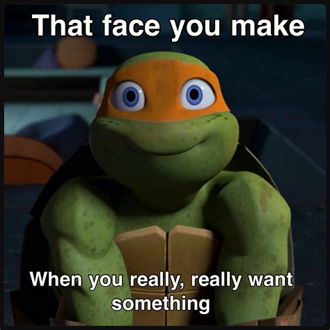 Michelangelo Tmnt Memes Pinterest Michelangelo And Tmnt