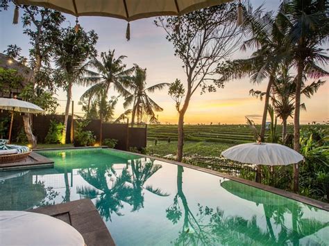 Best Villas In Bali For Couples Honeymoon 1br Private Pool Villa In