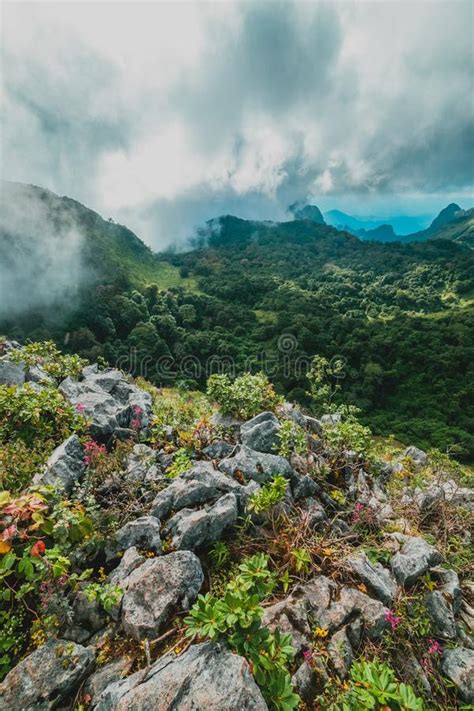 Morning Mist At Tropical Rainforest Stock Image Image Of Mountain