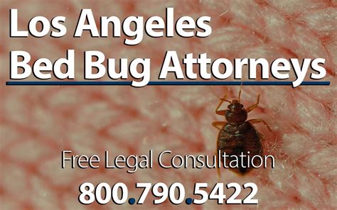 Bed Bug Attorney Los Angeles Infestation Lawsuit