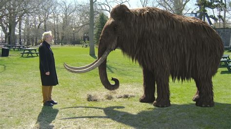 Woolly Mammoths Could Be Brought Back From Extinction How It Works