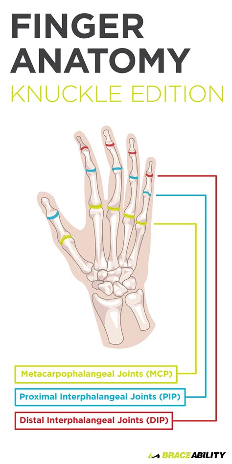 Pin On Finger Injuries And Treatments Whats Causing Pain
