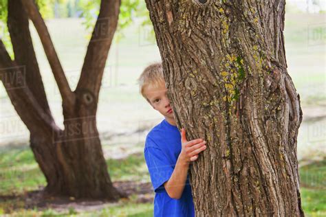 A Boy Hiding Behind A Tree In A Park; Edmonton, Alberta ...