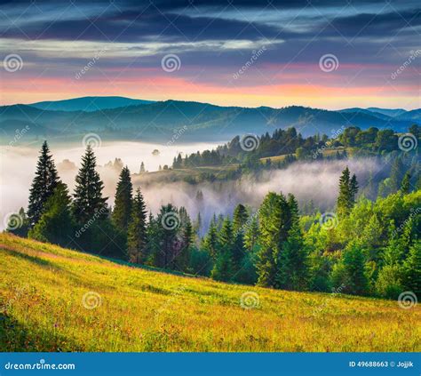 Colorful Summer Sunrise In Carpathian Mountains Stock Image Image Of