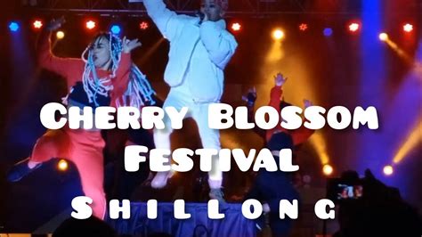 Cherry Blossom Festival Shillong 🌸 Jessielyngdoh