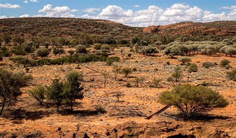 Nsw Deserts And Arid Shrublands Nsw National Parks
