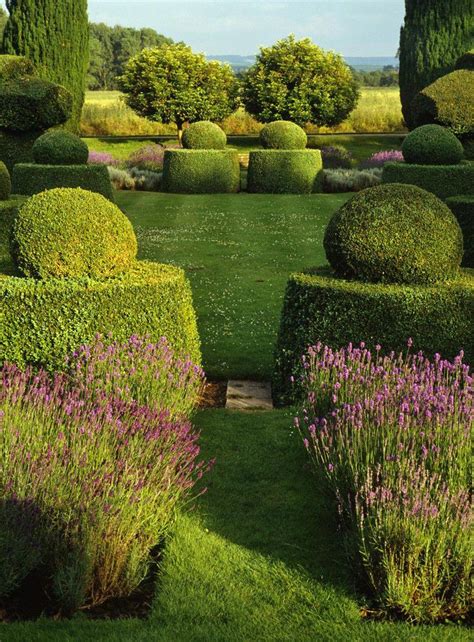 Lavender And Topiaries Beautiful Gardens Gorgeous Gardens Topiary