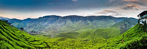 Find 7,925 traveller reviews, 9,595 candid photos, and prices for hotels in cameron highlands. Cameron Highlands in Malesia: un viaggio nel verde smerald ...