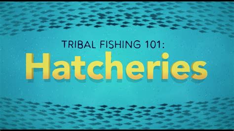 Tribal Fishing 101 Hatcheries Youtube