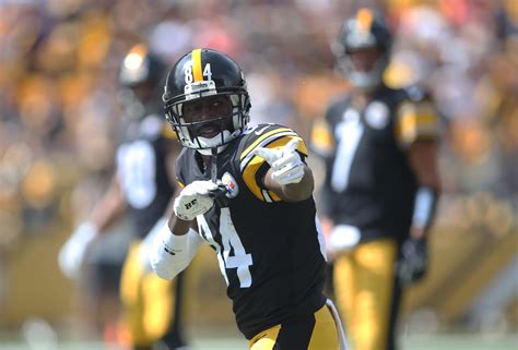 Check Out Antonio Browns Best Pictures From The Steelers Season