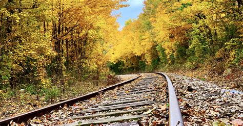 The 10 Best Fall Train Rides In The Us