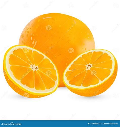 Vector Set Realistic Whole Orange And Half Orange Isolated On White