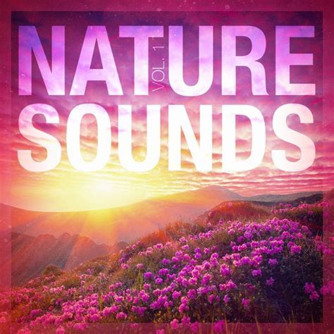 Nature Sounds Vol 1 Relaxing Sounds Of Nature Qobuz