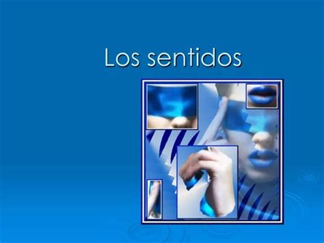 Ppt Los Sentidos Powerpoint Presentation Free Download Id1004214