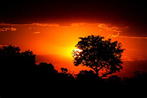 African Sunset Marja Schwartz Photography