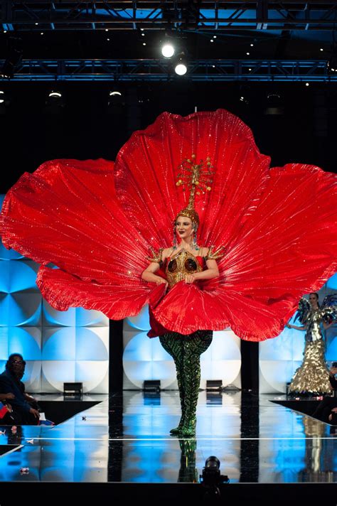 Miss Porto Rico 2019 Madison Anderson Berríos Dans Son Costume