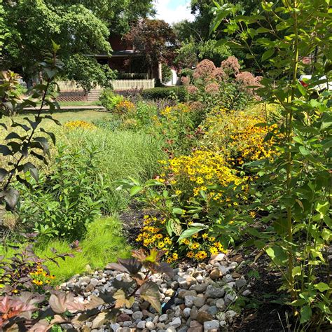 How Rain Gardens can help you improve water quality at home and at work ...