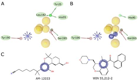 A Complex Pharmacophore Created By Merging Pharmacophores Based On